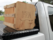 ffa fruit box