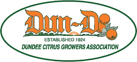 Dun-D logo