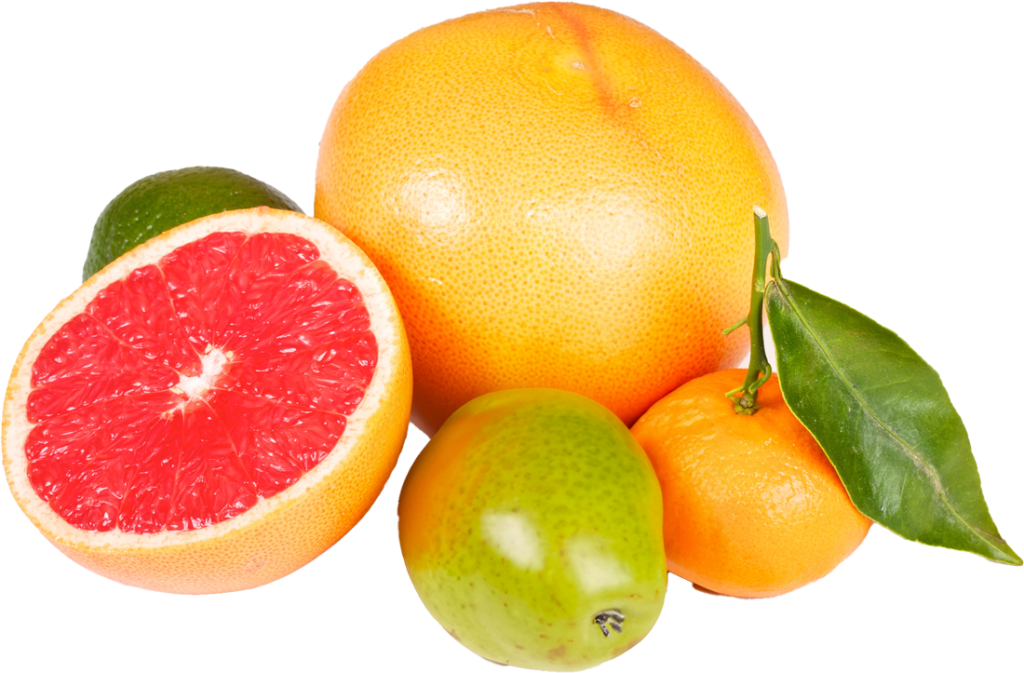 Citrus fundraising homepage image. Grapefruit, pear and mandarin styled together.