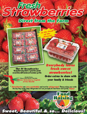 request strawberry brochure