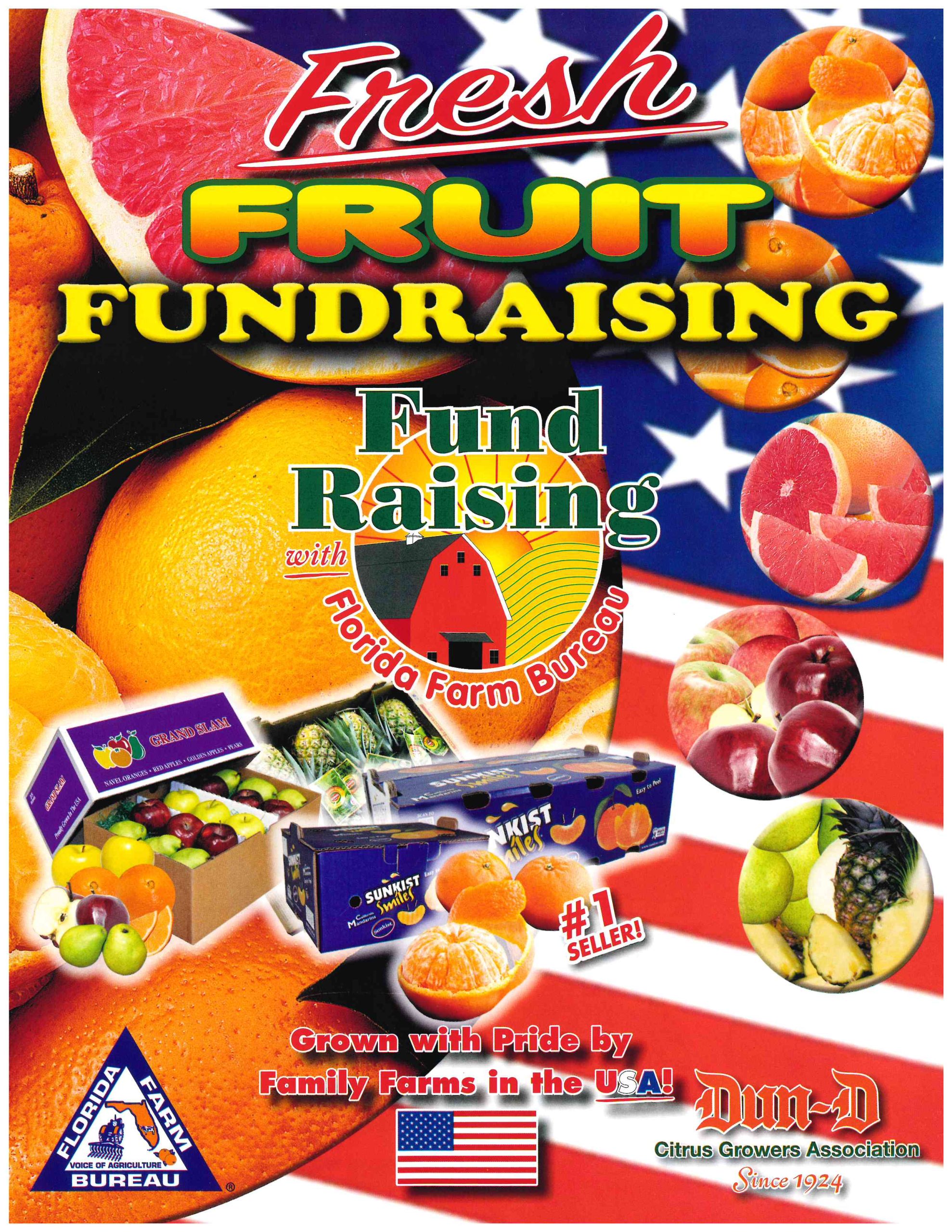 citrus fundraising brochure