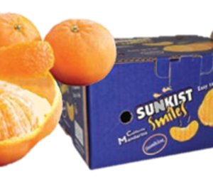 1/5 bushel Mandarin; Clementines