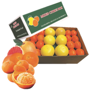 mixed citrus gift box