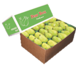 2/5 pear box icon