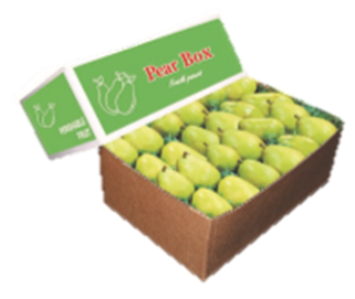 2/5 pear box icon