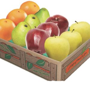 MINI Grand Salm Gift Box