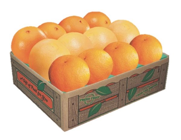 MINI Mixed Citrus Gift Box