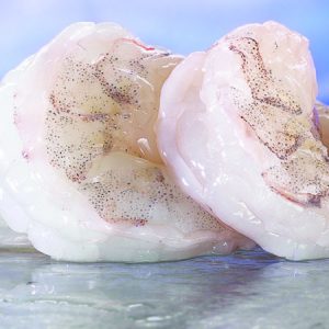 Frozen Shrimp (Raw)