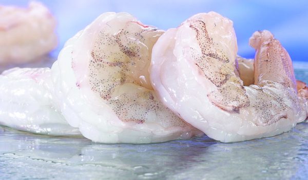 Frozen Shrimp (Raw)